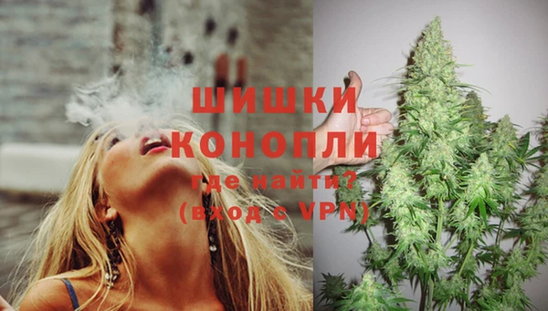 mdma Новозыбков